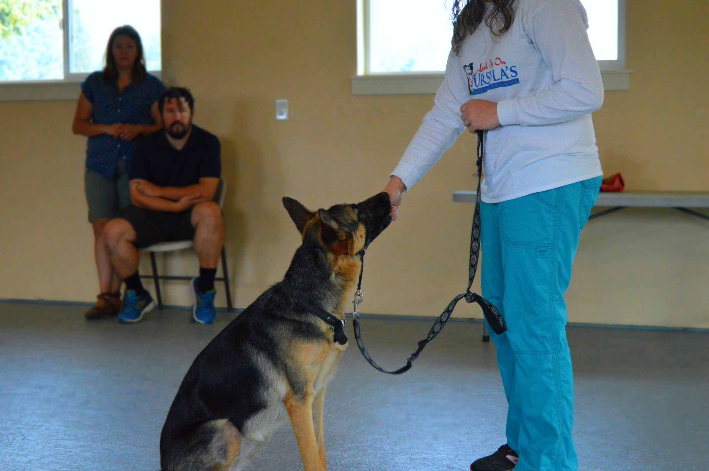 German shepherd with trainer