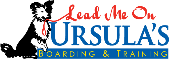 Ursula's Lead Me On Logo