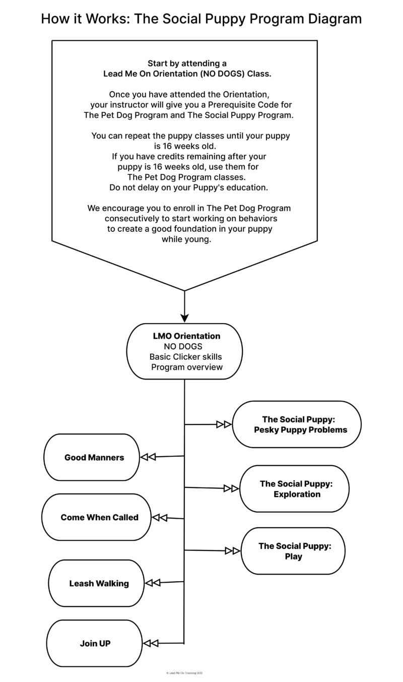 social puppy program diagram